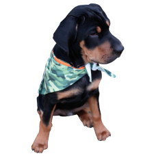 Triangle Cut Dog Bandana